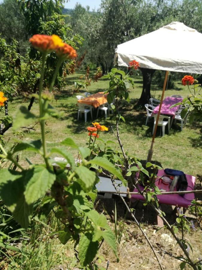 Vacanze In Collina, Tra Mare E Monti Bucchianico Εξωτερικό φωτογραφία